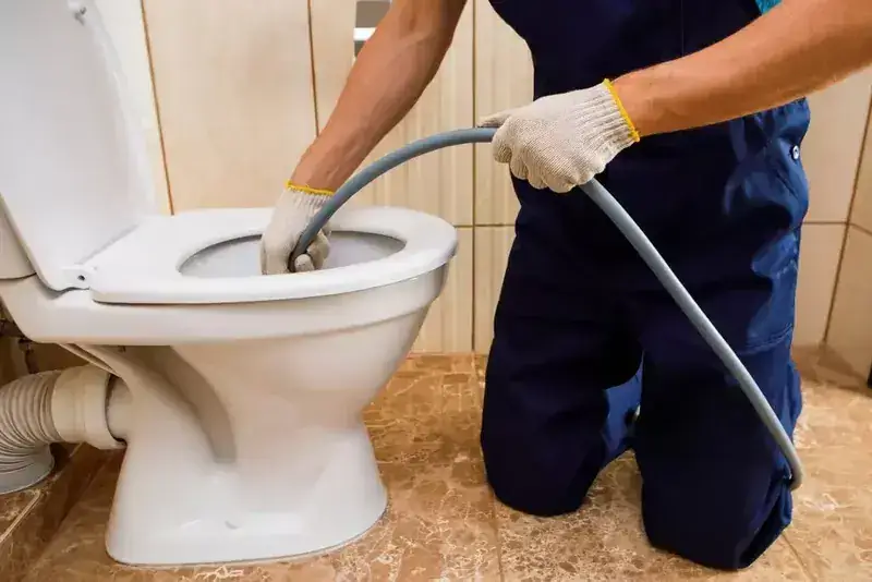 Toilet and tap repair in Richmond